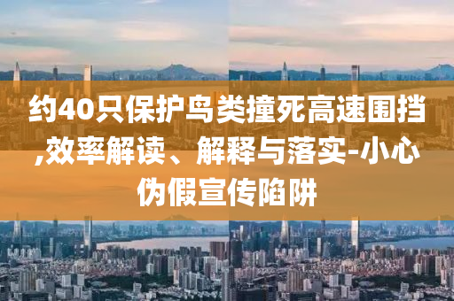 约40只保护鸟类撞死高速围挡,效率解读、解释与落实-小心伪假宣传陷阱