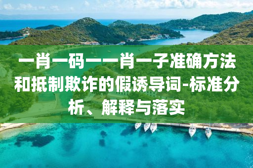 一肖一码一一肖一子准确方法和抵制欺诈的假诱导词-标准分析、解释与落实