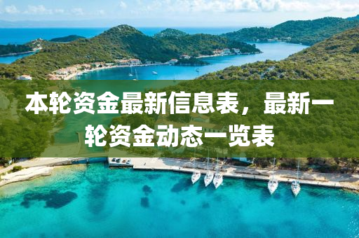 本轮资金最新信息表，最新一轮资金动态一览表