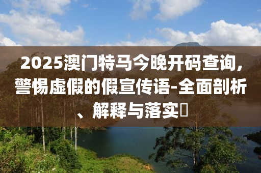 2025澳门特马今晚开码查询,警惕虚假的假宣传语-全面剖析、解释与落实?