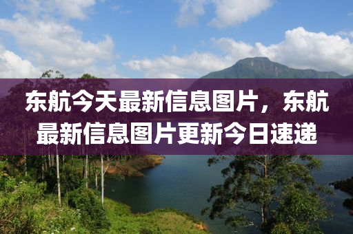 东航今天最新信息图片，东航最新信息图片更新今日速递