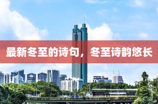 最新冬至的诗句，冬至诗韵悠长