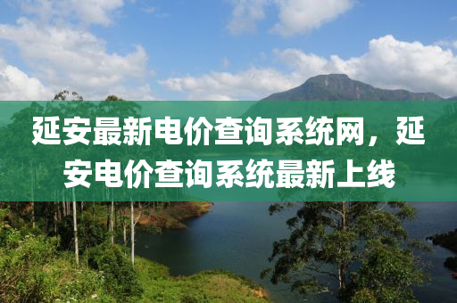 延安最新电价查询系统网，延安电价查询系统最新上线