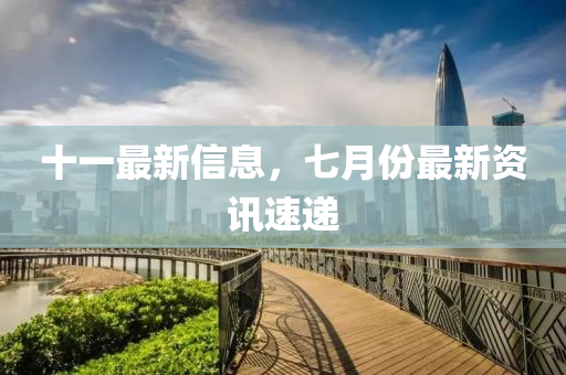 十一最新信息，七月份最新资讯速递