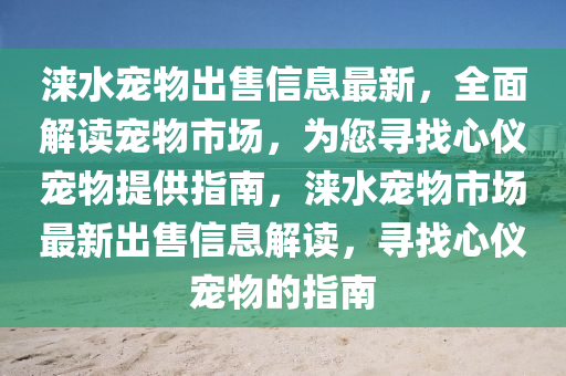 涞水宠物出售信息最新，全面解读宠物市场，为您寻找心仪宠物提供指南，涞水宠物市场最新出售信息解读，寻找心仪宠物的指南
