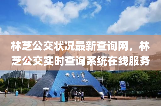 林芝公交状况最新查询网，林芝公交实时查询系统在线服务