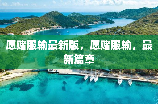 愿赌服输最新版，愿赌服输，最新篇章