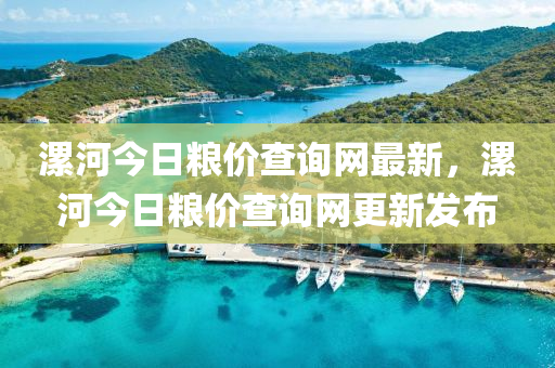 漯河今日粮价查询网最新，漯河今日粮价查询网更新发布