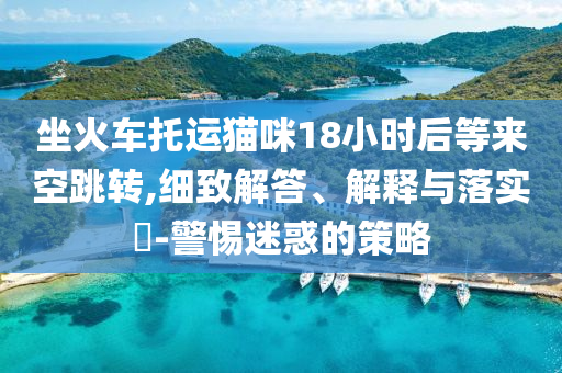 坐火车托运猫咪18小时后等来空跳转,细致解答、解释与落实?-警惕迷惑的策略