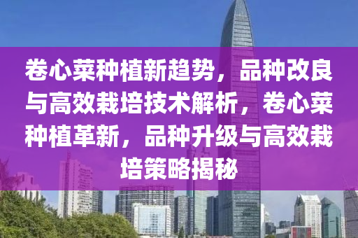 卷心菜种植新趋势，品种改良与高效栽培技术解析，卷心菜种植革新，品种升级与高效栽培策略揭秘