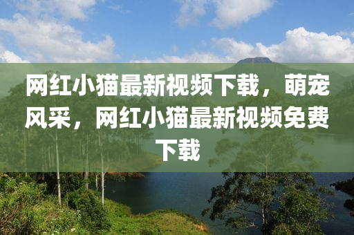 网红小猫最新视频下载，萌宠风采，网红小猫最新视频免费下载