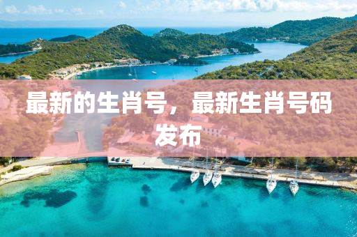 最新的生肖号，最新生肖号码发布