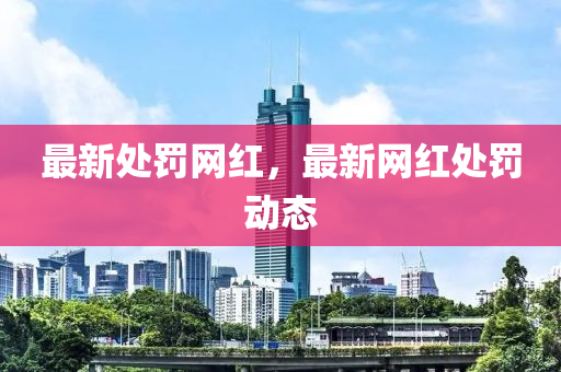 最新处罚网红，最新网红处罚动态