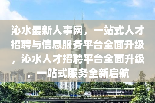 沁水最新人事网，一站式人才招聘与信息服务平台全面升级，沁水人才招聘平台全面升级，一站式服务全新启航