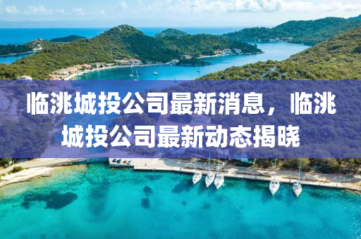 临洮城投公司最新消息，临洮城投公司最新动态揭晓