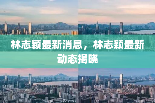 林志颖最新消息，林志颖最新动态揭晓