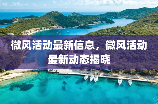 微风活动最新信息，微风活动最新动态揭晓