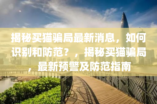 揭秘买猫骗局最新消息，如何识别和防范？，揭秘买猫骗局，最新预警及防范指南