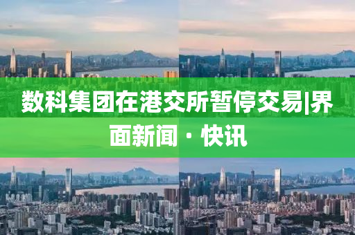 数科集团在港交所暂停交易|界面新闻 · 快讯