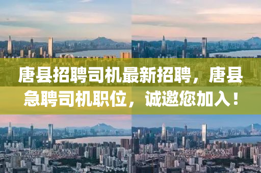 唐县招聘司机最新招聘，唐县急聘司机职位，诚邀您加入！