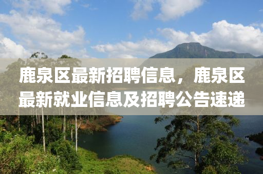 鹿泉区最新招聘信息，鹿泉区最新就业信息及招聘公告速递