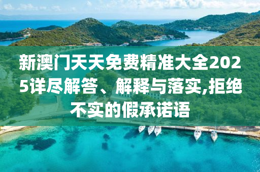 新澳门天天免费精准大全2025详尽解答、解释与落实,拒绝不实的假承诺语