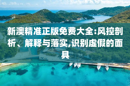新澳精准正版免费大全:风控剖析、解释与落实,识别虚假的面具