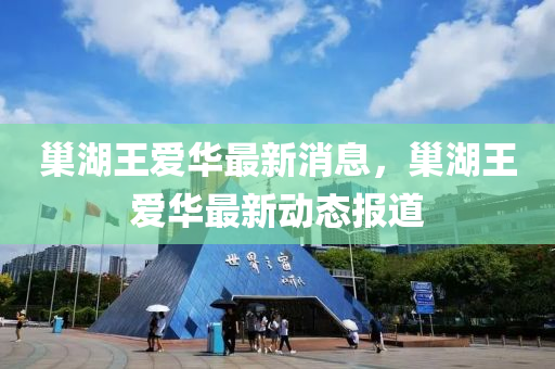 巢湖王爱华最新消息，巢湖王爱华最新动态报道
