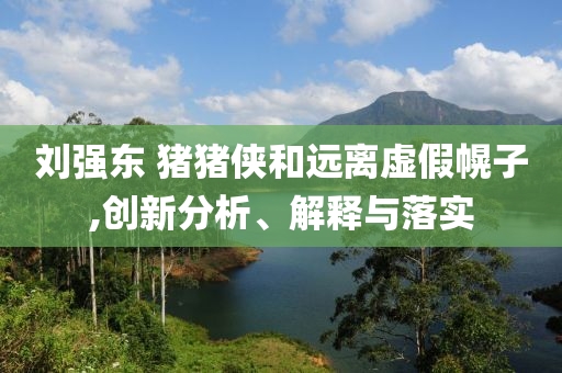 刘强东 猪猪侠和远离虚假幌子,创新分析、解释与落实
