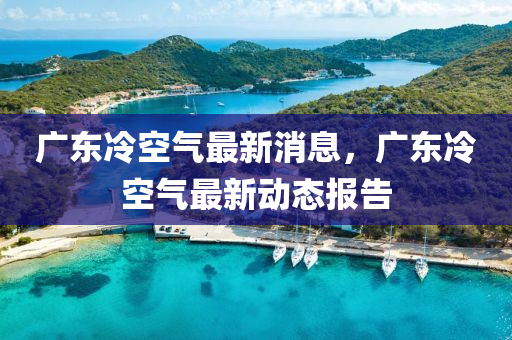 广东冷空气最新消息，广东冷空气最新动态报告