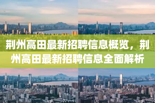荆州高田最新招聘信息概览，荆州高田最新招聘信息全面解析