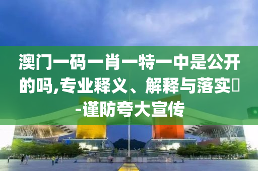 澳门一码一肖一特一中是公开的吗,专业释义、解释与落实?-谨防夸大宣传