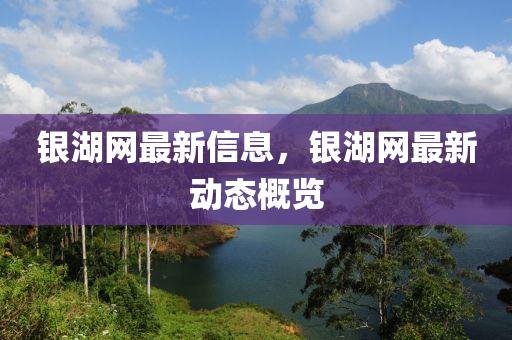 银湖网最新信息，银湖网最新动态概览